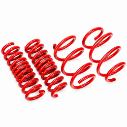 AST Suspension 17-24 Civic Hatchback Lowering Springs